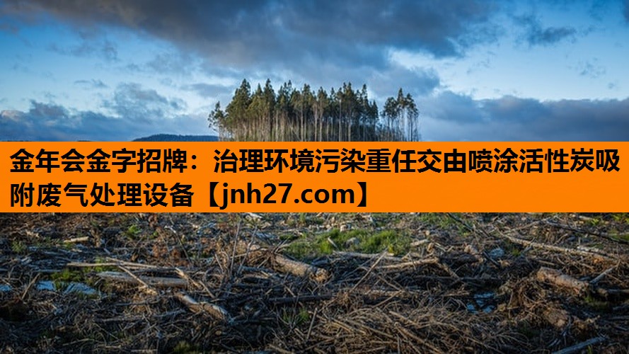 金年会金字招牌：治理环境污染重任交由喷涂活性炭吸附废气处理设备