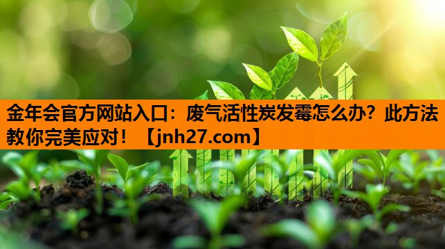 金年会官方网站入口：废气活性炭发霉怎么办？此方法教你完美应对！