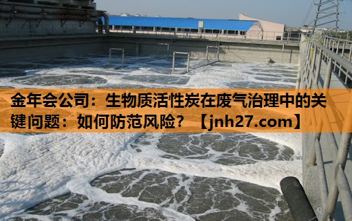金年会公司：生物质活性炭在废气治理中的关键问题：如何防范风险？