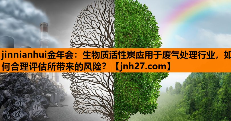 jinnianhui金年会：生物质活性炭应用于废气处理行业，如何合理评估所带来的风险？