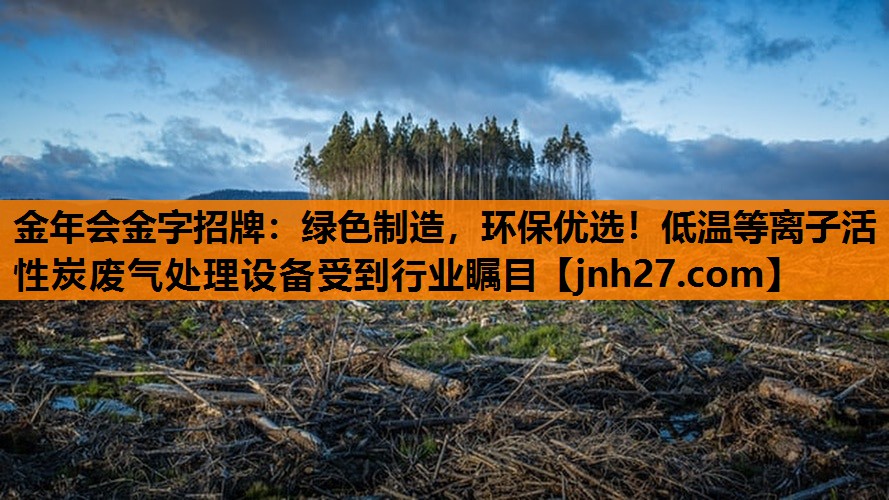 金年会金字招牌：绿色制造，环保优选！低温等离子活性炭废气处理设备受到行业瞩目