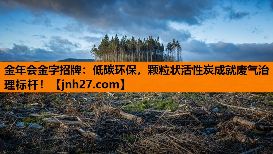 金年会金字招牌：低碳环保，颗粒状活性炭成就废气治理标杆！