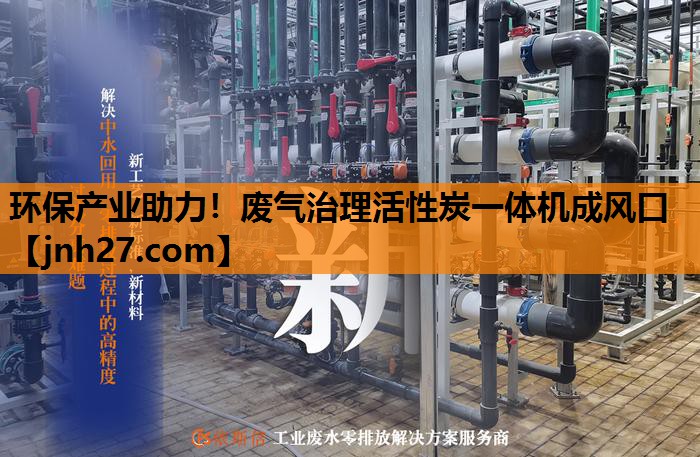 环保产业助力！废气治理活性炭一体机成风口