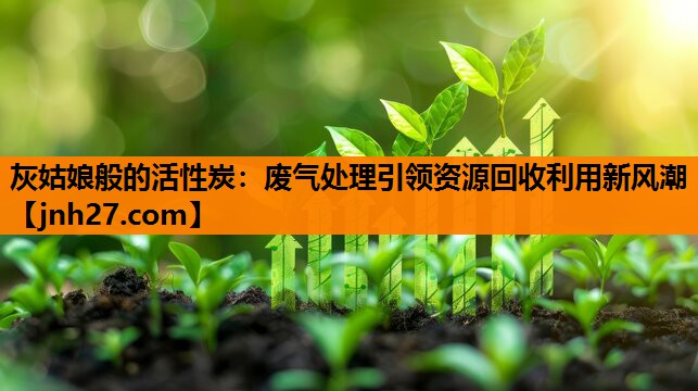 灰姑娘般的活性炭：废气处理引领资源回收利用新风潮