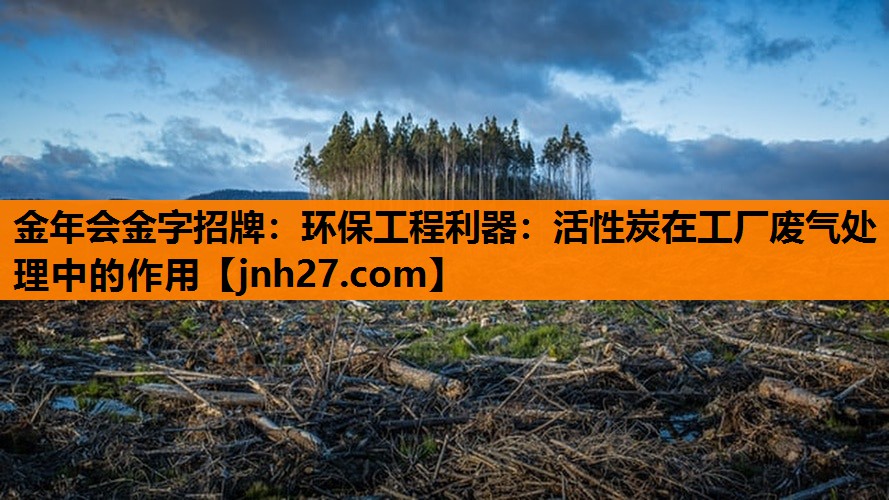 环保工程利器：活性炭在工厂废气处理中的作用