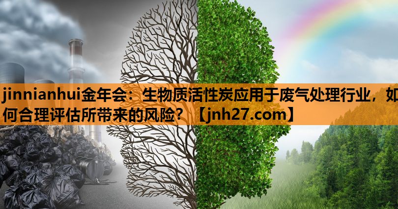 生物质活性炭应用于废气处理行业，如何合理评估所带来的风险？