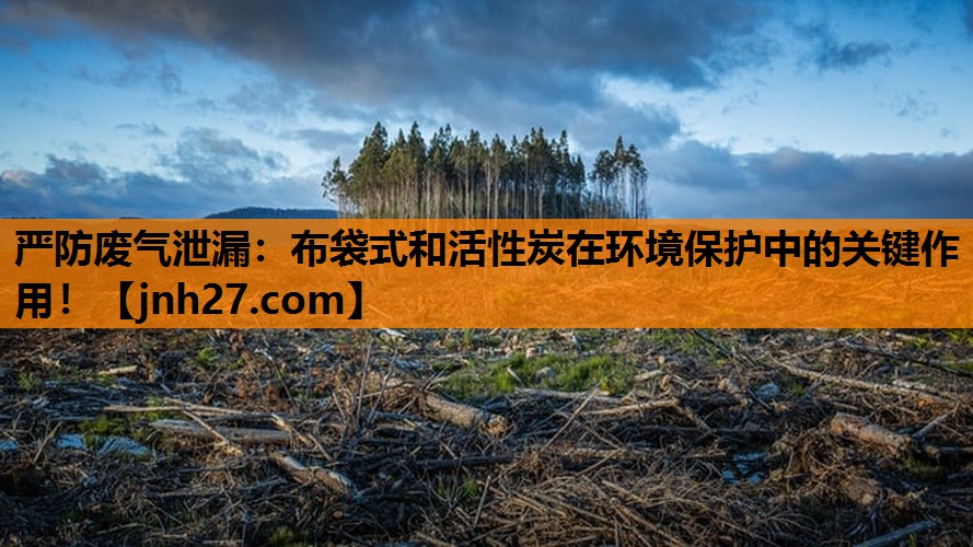 严防废气泄漏：布袋式和活性炭在环境保护中的关键作用！