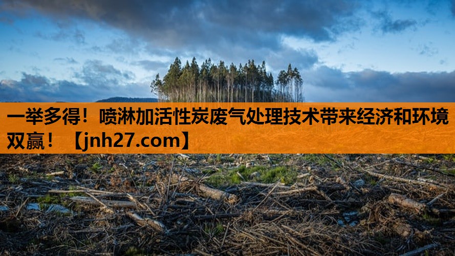 一举多得！喷淋加活性炭废气处理技术带来经济和环境双赢！