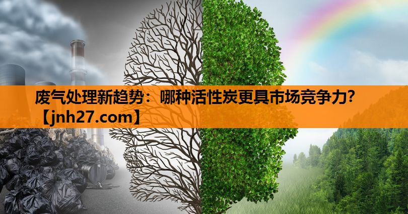 废气处理新趋势：哪种活性炭更具市场竞争力？