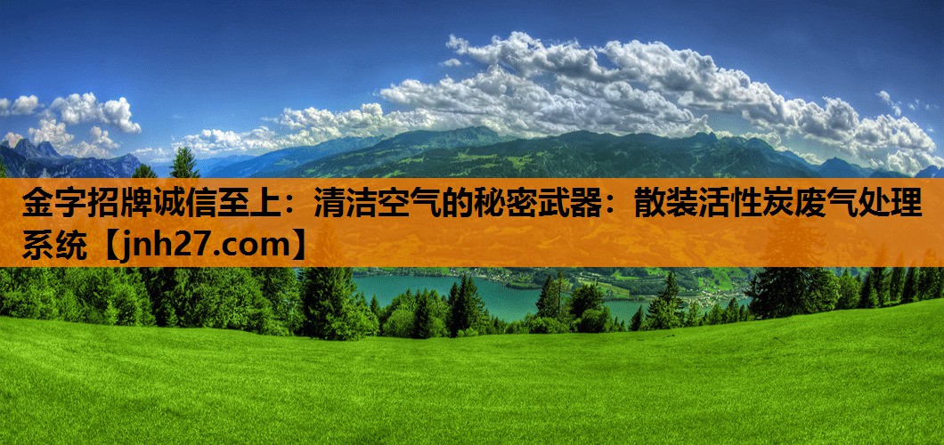 <strong>金字招牌诚信至上：清洁空气的秘密武器：散装活性炭废气处理系统</strong>