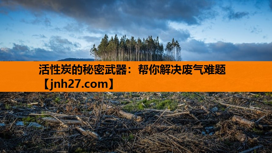 活性炭的秘密武器：帮你解决废气难题