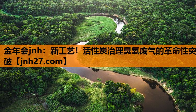 新工艺！活性炭治理臭氧废气的革命性突破