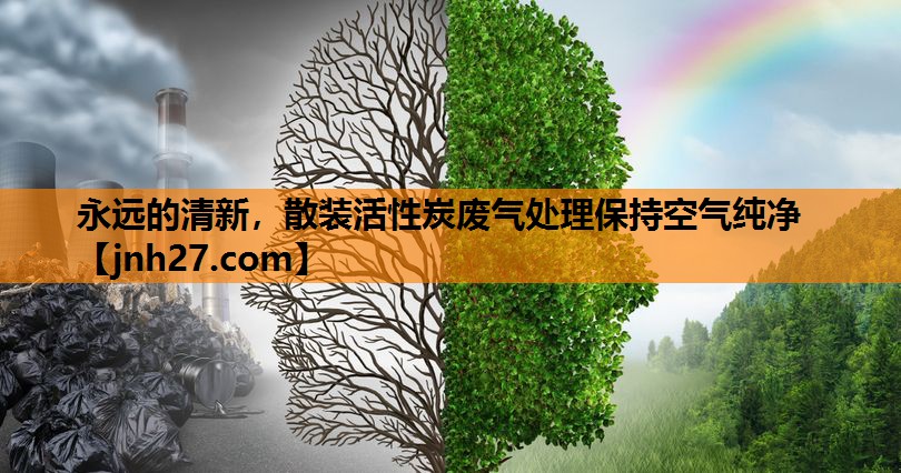 永远的清新，散装活性炭废气处理保持空气纯净