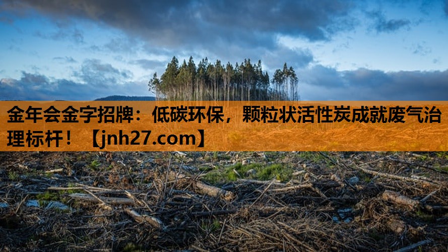 低碳环保，颗粒状活性炭成就废气治理标杆！